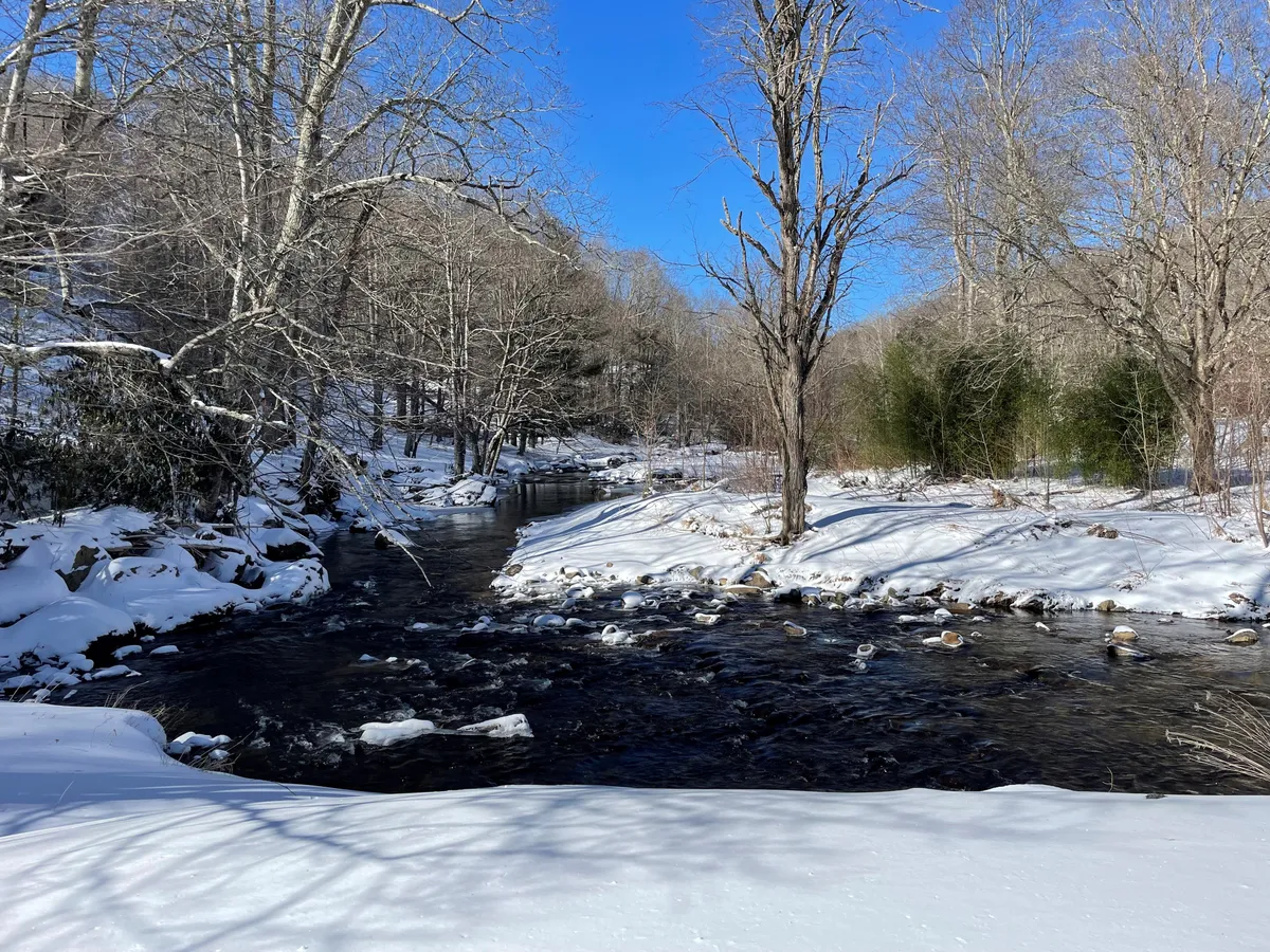 A tranquil view of a river bordered by snow-covered banks and leafless trees. The peaceful setting is ideal for hiking, bird watching, and appreciating nature's beauty, especially in the winter months.